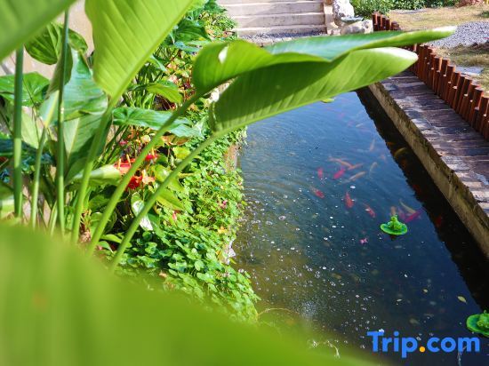Нанкин: Nanjing Fengjingyuan Homestay