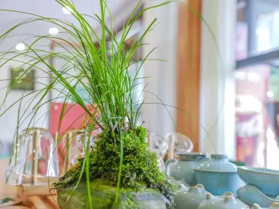 Леишан: Leishan Miaoba Boutique Homestay (Langde Miaozhai Scenic Area)