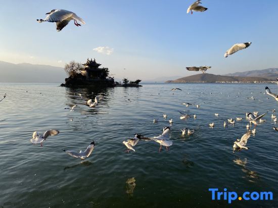 Дали: Chayan Fish House·Xizhou Nice||Ancient style elements to enjoy the beautiful courtyard accommodation
