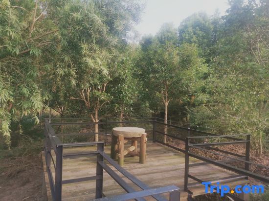 Дажоу: Dazhumeng Old House Homestay