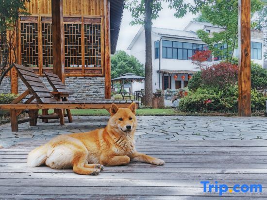 Хучжоу: Anji Waterside Singing Night Homestay