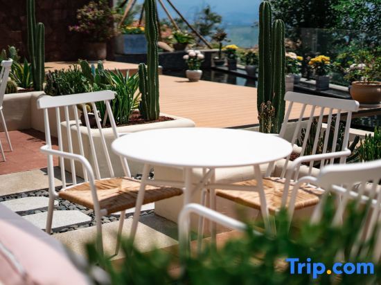 Дали: Dali Sea Coconut Muxin Holiday Homestay