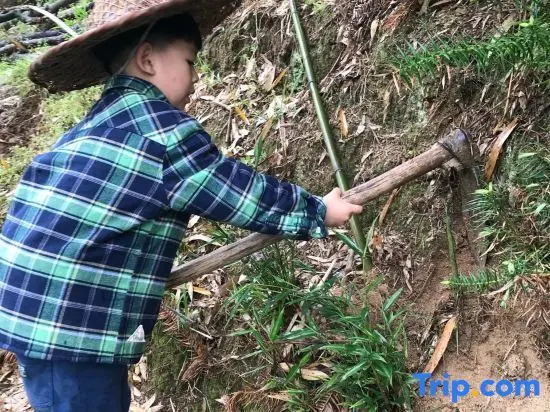 Ханчжоу: Tongcheng Shangmen No.8 Guesthouse