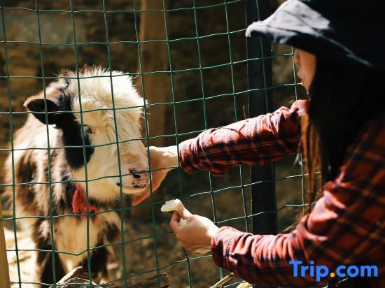 Данба: YouthTour KaManwu Star Garden Homestay