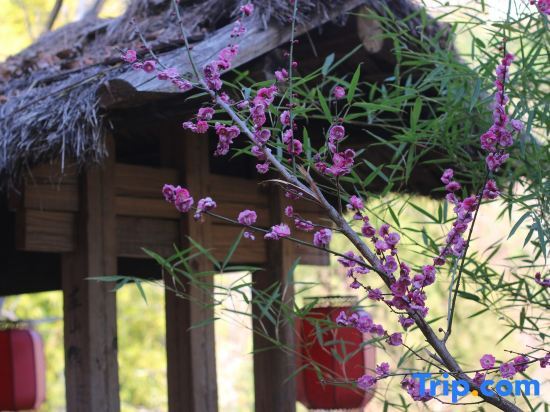 Дали: Nuodeng Yuanse Homestay