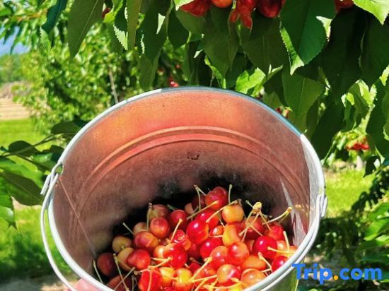 Циндао: Shanhai Travel·Three Dream Seaview Holiday Homestay (Lushan Venue Branch)