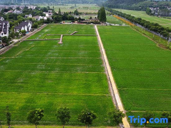 Хучжоу: Anji Qishe Homestay