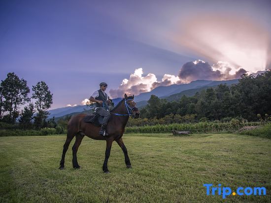 Дали: Midmountain Hotel, Kidan, Dali
