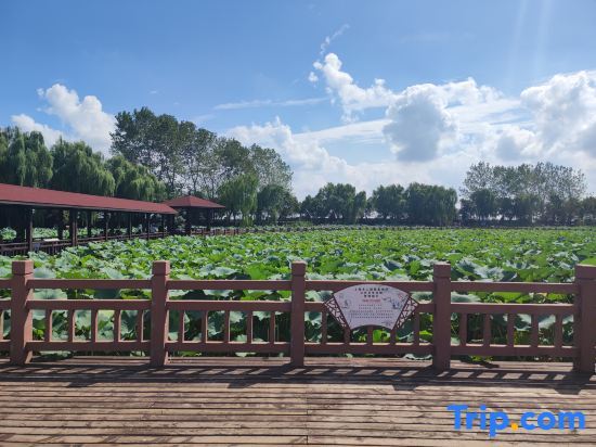 Шанхай: Shanghai Dianhu No.1 B&B