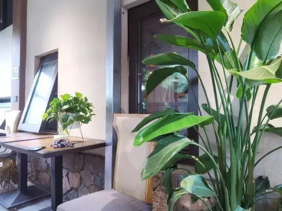Нанкин: Nanjing Yueyue Four Seasons Boutique B&B