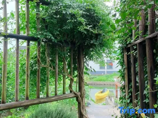 Шанхай: Greenhouse House inn