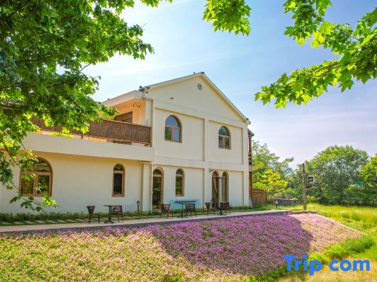 Хучжоу: Anji White Tea Yuan · Tree Under Little White House Deer Language Parent Child Vacation Stay