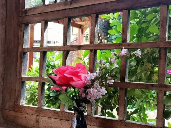 Сиань: Xiaohai Bieyuan Homestay
