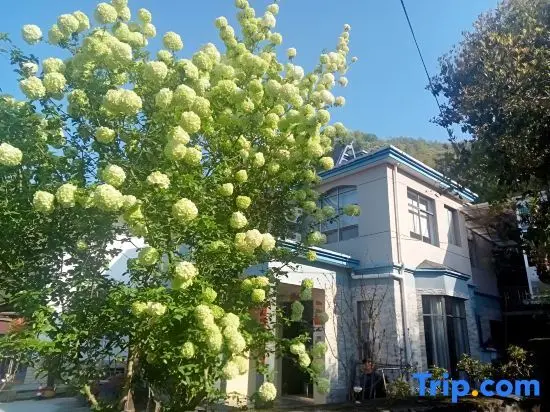 Xuancheng: Huipai Xiaolou Homestay (Ningguo Anhui Nanchuan- Line Chujiatan Branch)