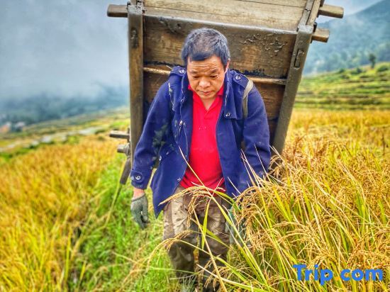 Пугао Лаочжай: Yuanyang Yunshang Homestay