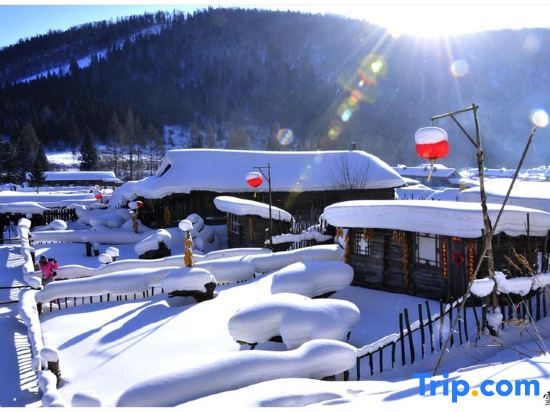 Харбин: Jiudingge Inn