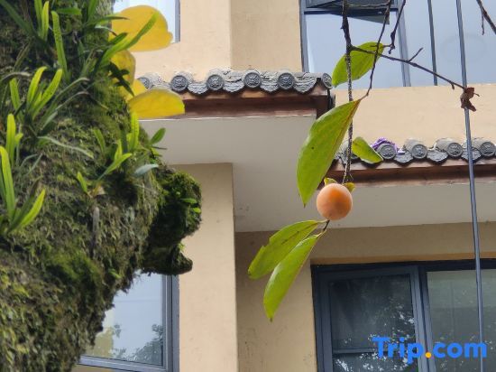 Яань: Yehouxi Homestay