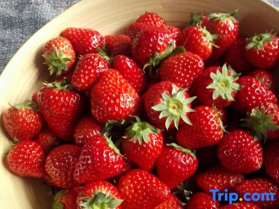 Шанхай: Farming  Club dongping 107  Hotel