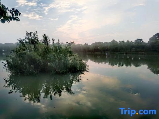 Шанхай: Zhoumo Homestay