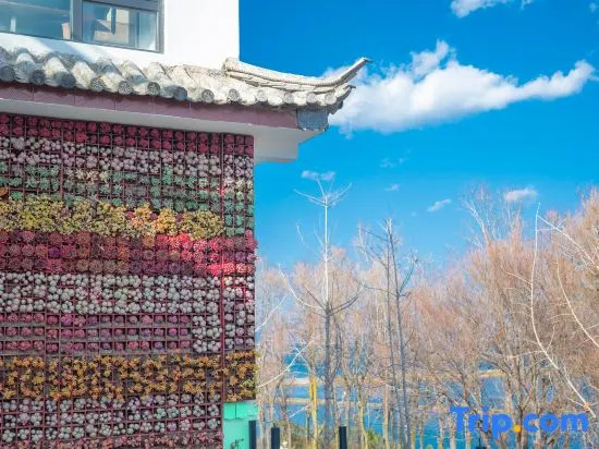Yiqingling Homestay (Bohai Swan Ecological Corridor) — фото 1