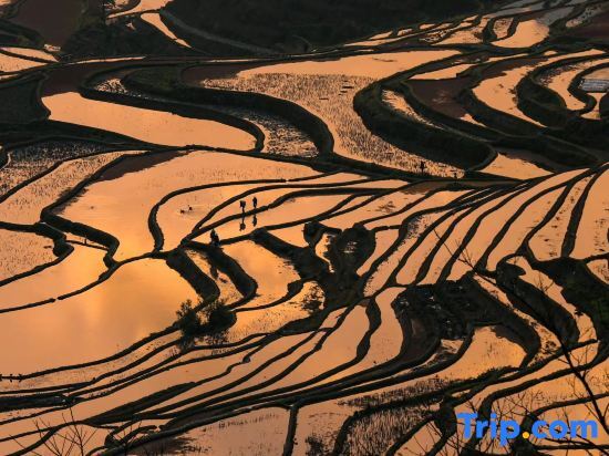 Пугао Лаочжай: Yuan Yang Yin Xin · Valley Resort and Viewing Homestay for Mountain and Stream Tracing