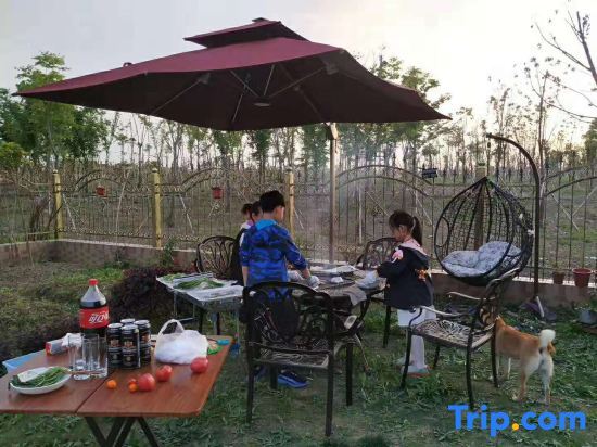 Шанхай: Donglin Luqi Tongyi Homestay (Shanghai Pudong New Area Lingang Avenue)