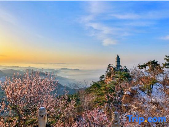 Тяньцзинь: Tianjin Wuyue Xiangyu Boutique Homestay