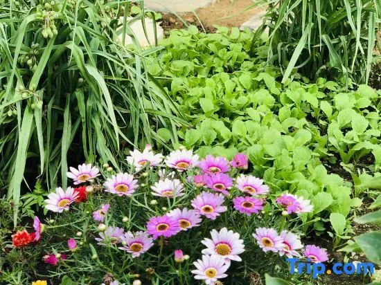 Тяньцзинь: Tianjin Wuyue Xiangyu Boutique Homestay
