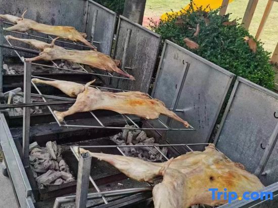 Шанхай: Yulin Xiaozhu Homestay (Shanghai Safari Park)