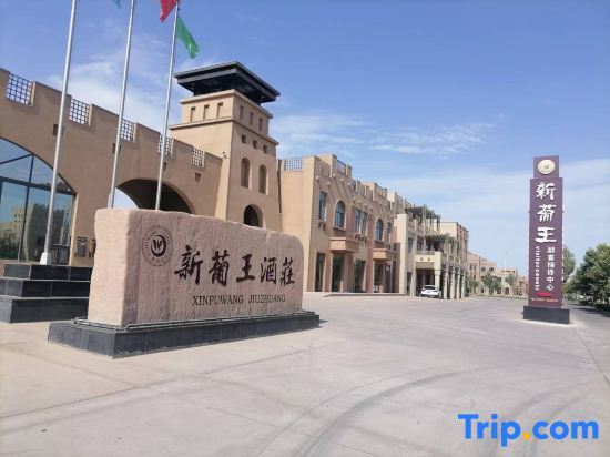 Турпан: Shanshan New Portuguese Wine House