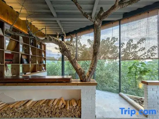 Чунцин: 816 Starlight Homestay (Chongqing)