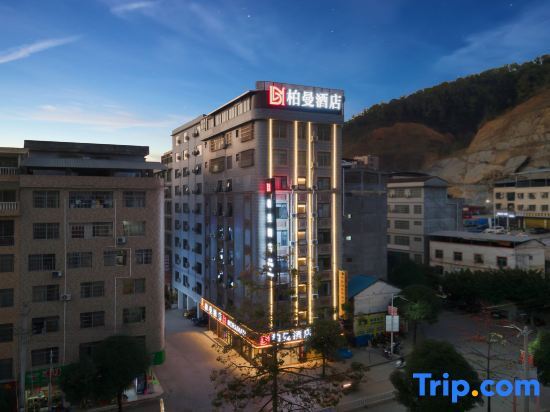 Berman Hotel (Baise Tianlin) — фото 1