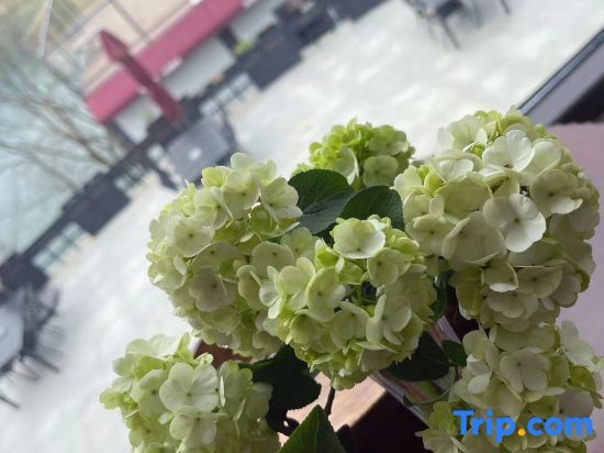 Хуанши: Yangxin Xiandao Lake Lihu Maple Moon Homestay