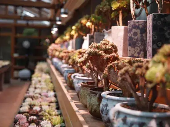 Пекин: Beijing Yiwaiting Japanese-style private soup homestay