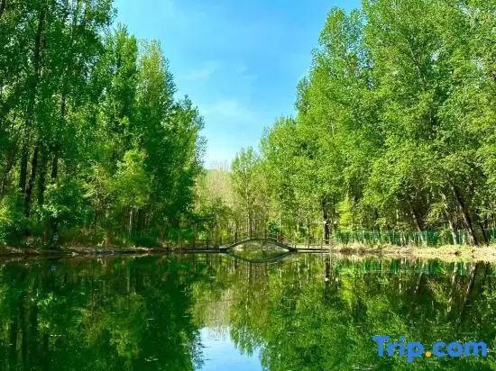 Пекин: Beijing Baili Huihuang Homestay