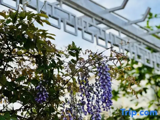 Куньмин: Yihuaxuanting Homestay (Kunming Dianchi Haitang Dam)