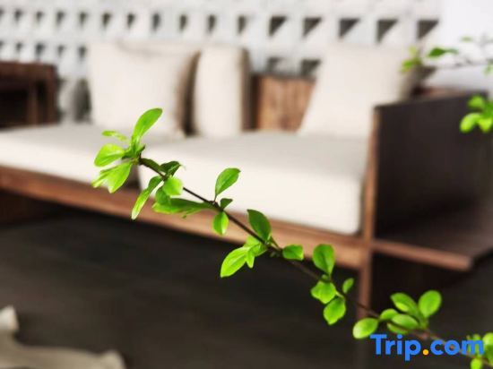 Чэнду: Qingcheng Mountain Suxi Qingshan Forest Homestay