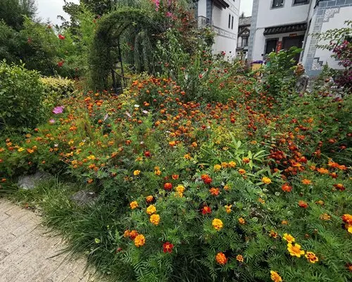 Лицзян: SRC@Lijiang Bojing Premier House - 4 Nights, Lijiang, China