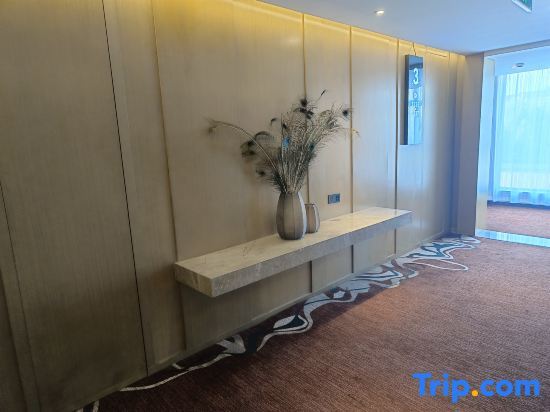 Шанхай: Wassim Hotel (Shanghai Chuansha Metro Station)