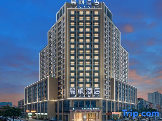 Lavande Hotel (Guangzhou Panyu Hanxi Changlong Dashi Subway Station Store) — фото 1