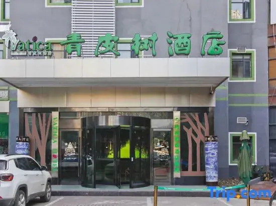 Хэфэй: Qingpi Tree Hotel (Greenland Yinghai Store, Ma 'anshan Road, Hefei)