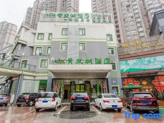 Хэфэй: Qingpi Tree Hotel (Greenland Yinghai Store, Ma 'anshan Road, Hefei)