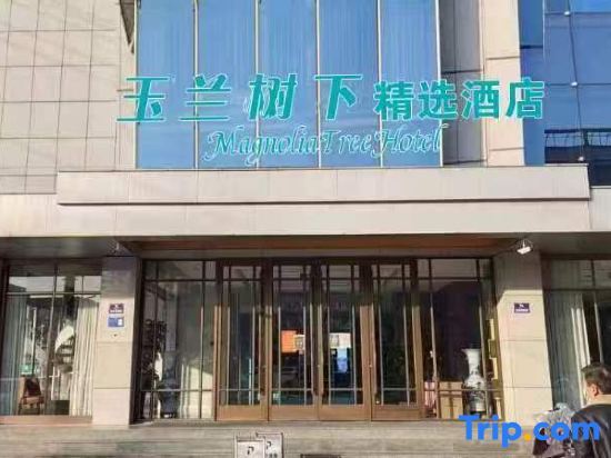 Линьи: Magnolia Tree Select Hotel