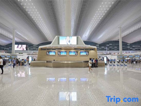 Гуанчжоу: YunShangWellai Hotel (Guangzhou New Baiyun International Airport)