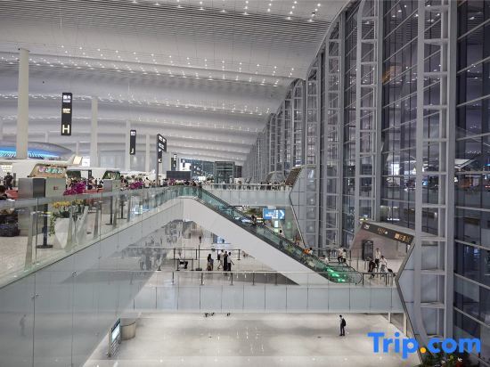 Гуанчжоу: YunShangWellai Hotel (Guangzhou New Baiyun International Airport)