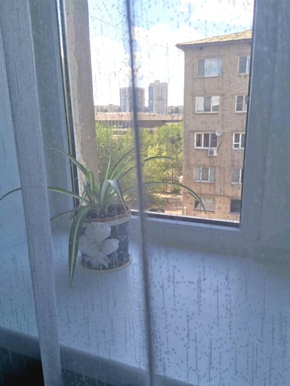 Волгоград: У трёх котов
