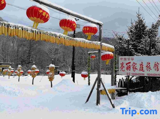 Харбин: Harbin Snow Gu Liang Li Family Hotel
