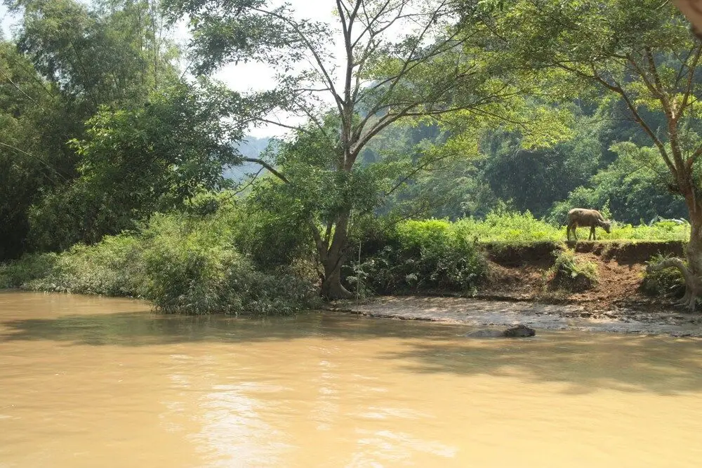 Пак Нгои: Tran Xuan Homestay - Hostel