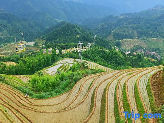 Longsheng: Longji Terrace Binlaiyue Homestay (Jinfoding Cable Car Dian)