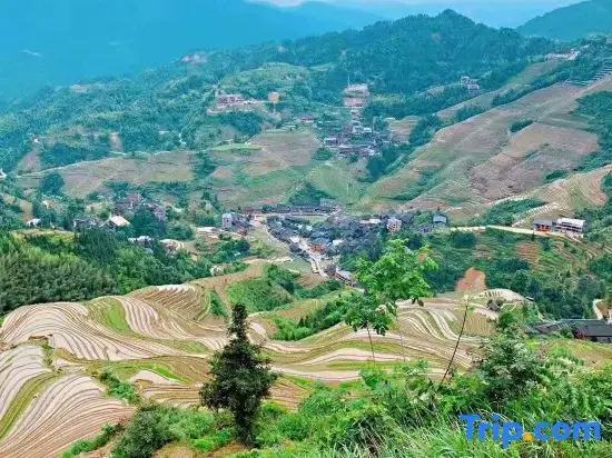 Longsheng: Longji Terrace Binlaiyue Homestay (Jinfoding Cable Car Dian)